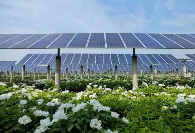 Concrete Single Pile Solar Mounting System (1)